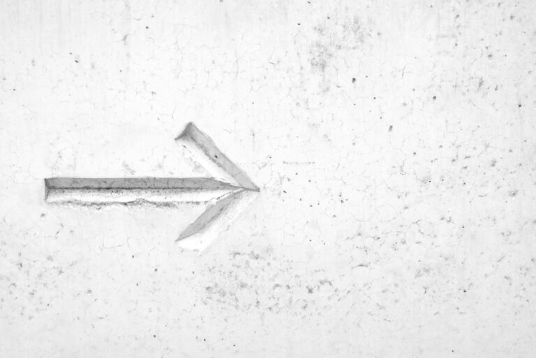 The Blueprint for Success: Ellen & Erin’s Journey to Thriving in the Workplace